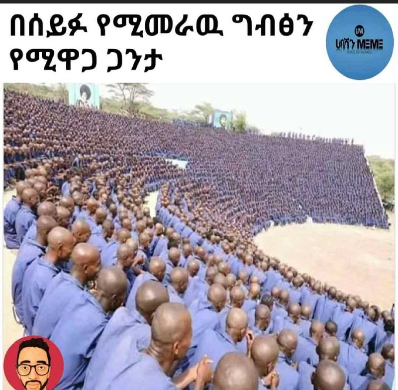 በሰይፉ የሚመራዉ ግብፅን / የሚዋጋ ቺ ንን NALA PSV O.1N67 / PoRPD x